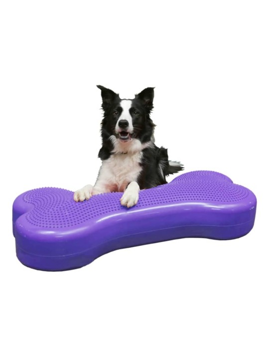 Fitpaws dzīvnieku līdzsvara platforma giant k9fitbone, violets pvc