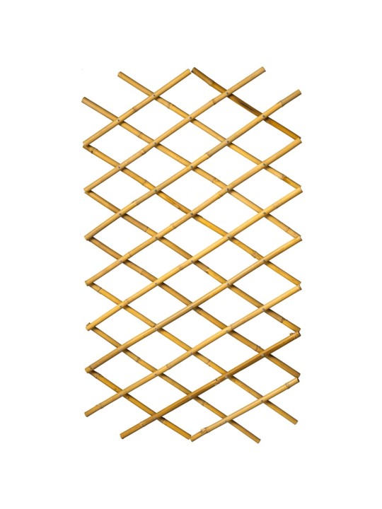 Nature dārza špalera, 100x200 cm, bambuss, 6040722