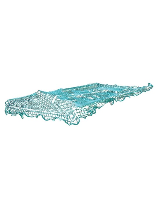 Proplus piekabes tīkls, 2,50x4,00 m, ar elastīgu auklu