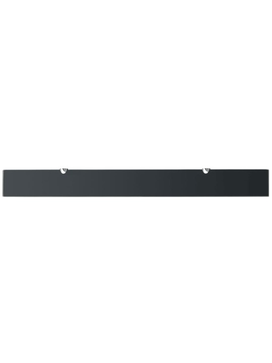 Sienas plaukts, 100x10 cm, 8 mm, stikls