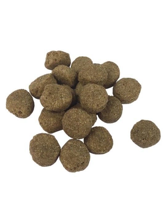 Suņu sausā barība, adult essence beef, premium, 15 kg