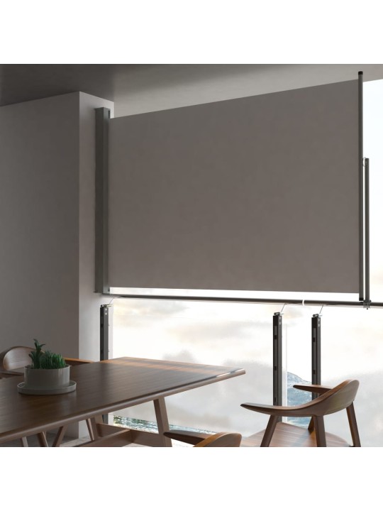 Izvelkama sānu markīze, 160x300 cm, pelēka