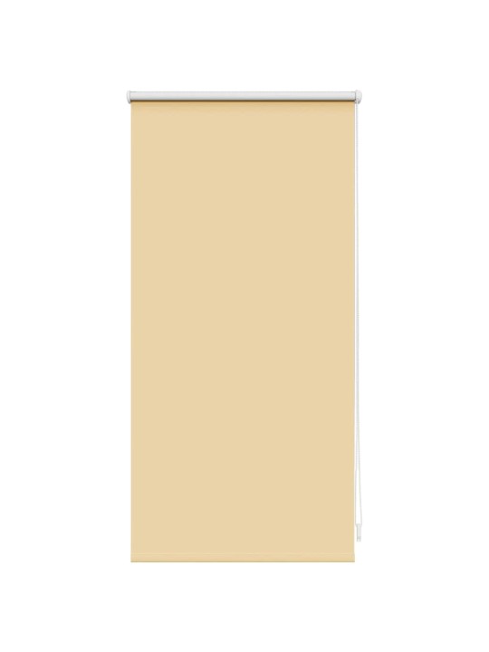 Ruļļu žalūzijas 40 x 100 cm brūnas