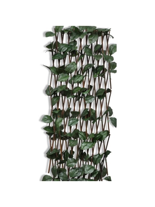 Špaleru žogs, 5 gb., ar mākslīgām lapām,180x90cm, vītola klūgas
