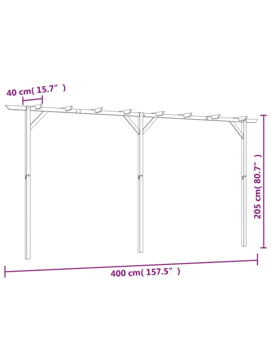 Dārza pergola, 410x40x203 cm, koks
