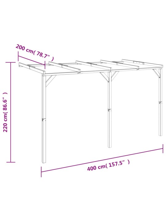 Pergola vīteņaugiem, 2x4x2,2 m, koks