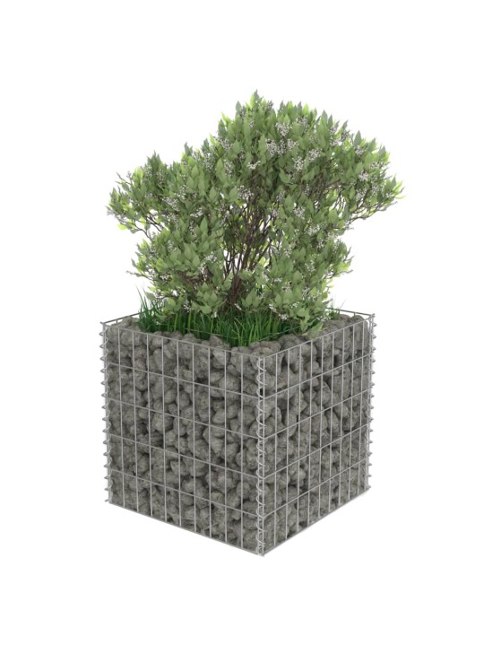 Gabions, augstā puķu kaste, cinkots tērauds, 50x50x50 cm