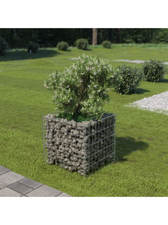 Gabions, augstā puķu kaste, cinkots tērauds, 50x50x50 cm