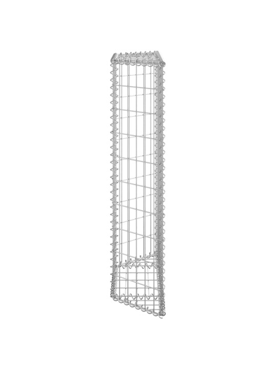 Gabions, augstā puķu kaste, cinkots tērauds, 80x20x100 cm