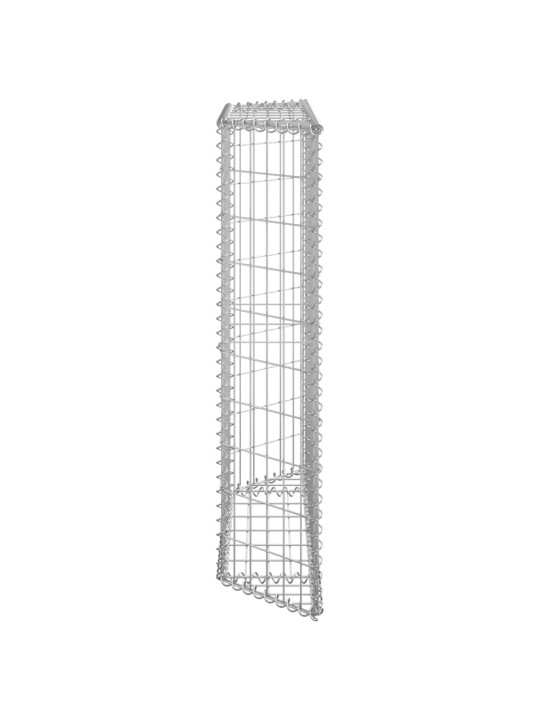 Gabions, augstā puķu kaste, cinkots tērauds, 100x20x100 cm