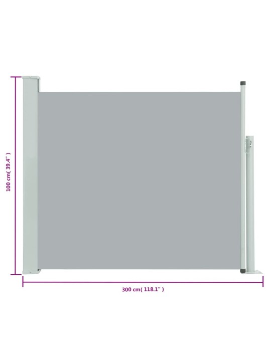 Izvelkama sānu markīze, pelēka, 100x300 cm