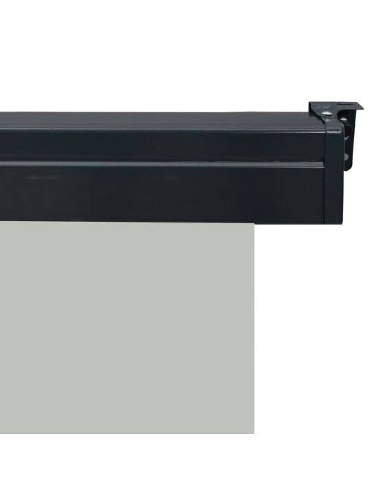 Balkona sānu markīze, pelēka, 100x250 cm