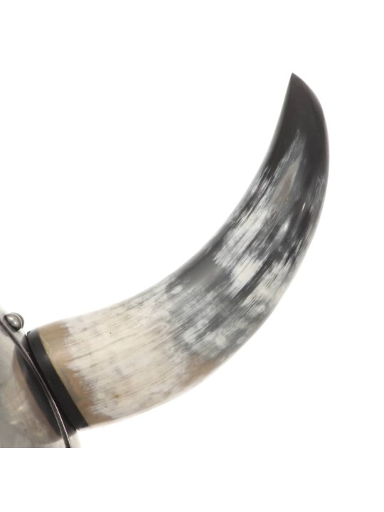 Pasaku vikingu bruņucepure, sudraba krāsas tērauds