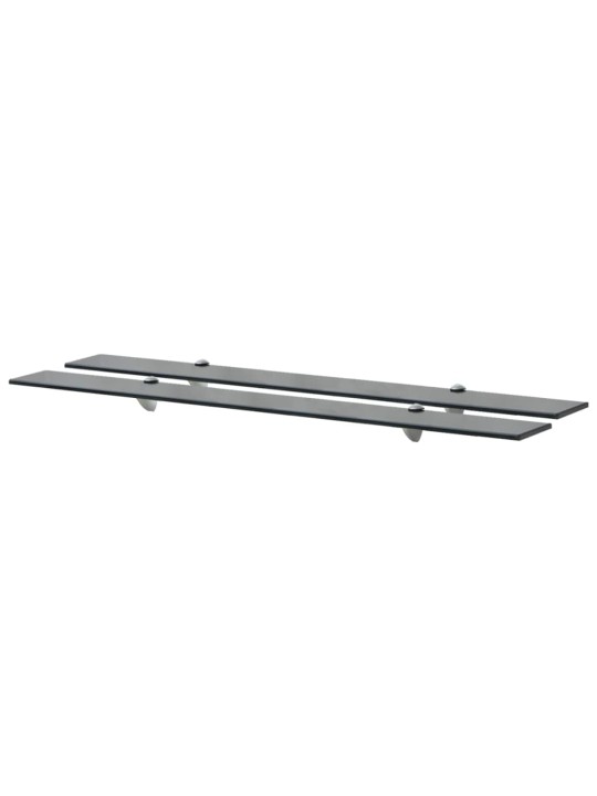 Sienas plaukti, 2 gab., 100x10 cm, 8 mm, stikls