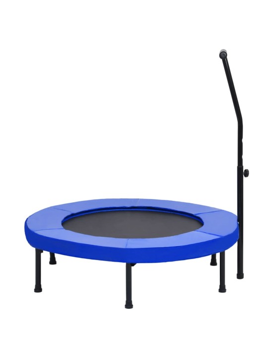 Fitnesa batuts ar rokturi un aizsargapmali, 102 cm