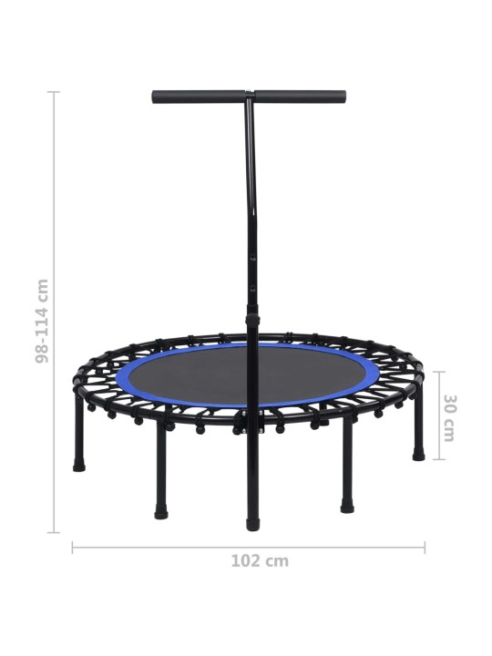 Fitnesa batuts ar rokturi, 102 cm