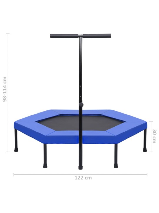 Fitnesa batuts ar rokturi un aizsargapmali, sešstūra, 122 cm