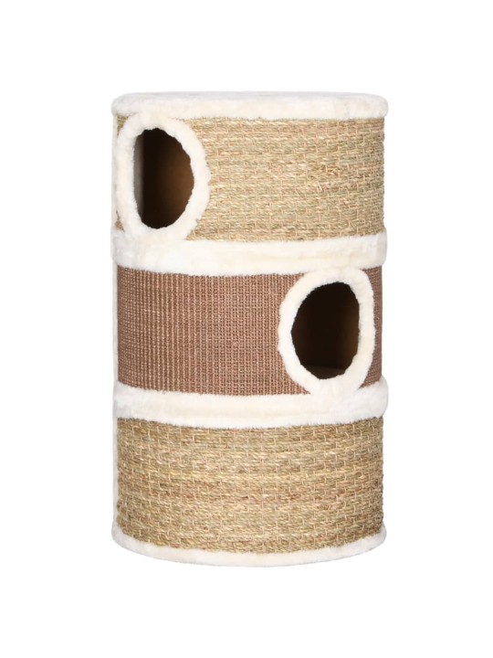 Kaķu nagu skrāpis – muca, 60 cm, jūraszāles
