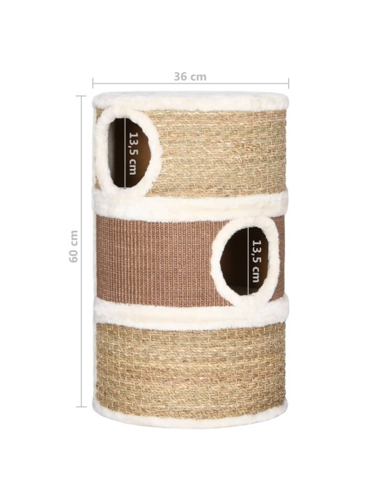 Kaķu nagu skrāpis – muca, 60 cm, jūraszāles