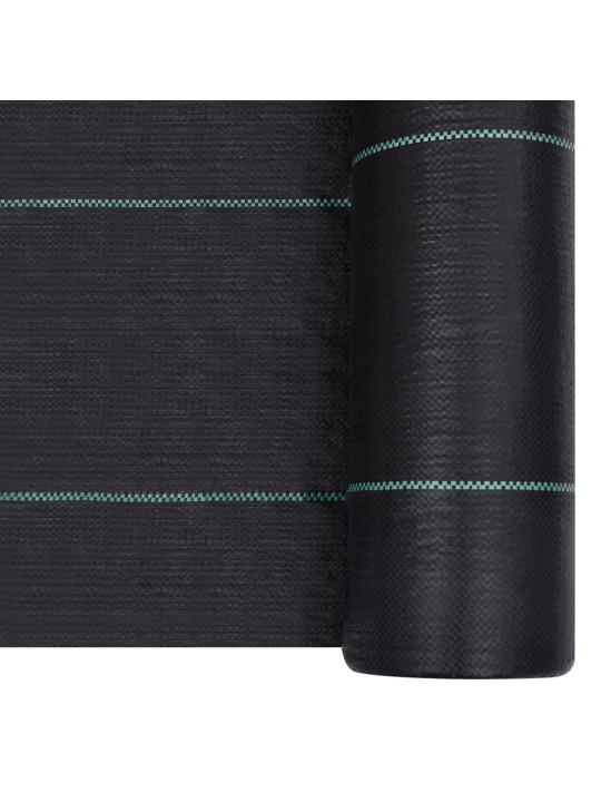 Augsnes pārsegs, pp, 2x10 m, melns