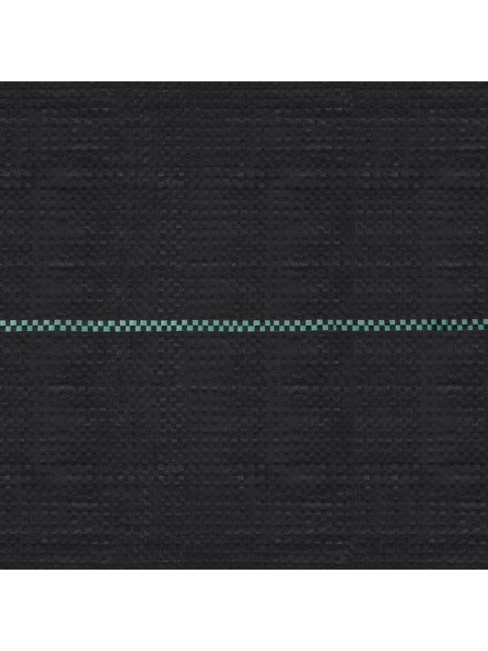 Augsnes pārsegs, pp, 2x150 m, melns