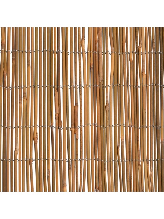 Bambusa žogs, 500x100 cm