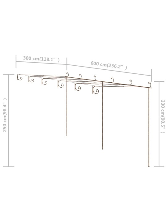 Dārza paviljons, 6x3x2,5 m, antīki brūna dzelzs
