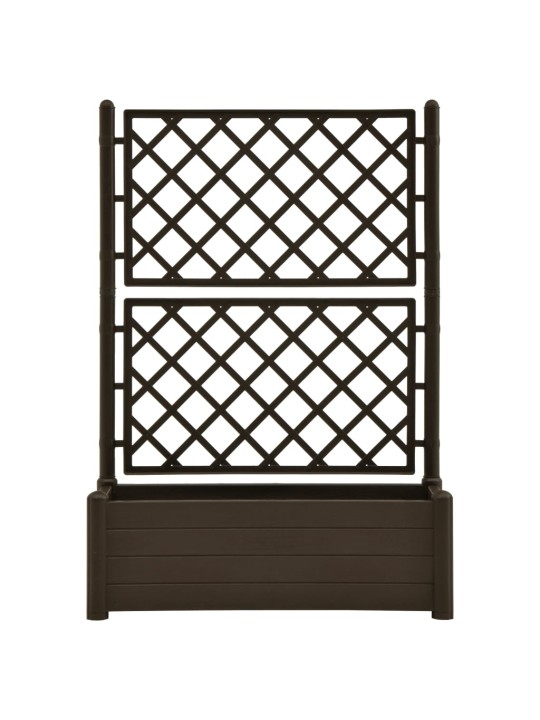 Dārza puķu kaste ar špaleru, 100x43x142 cm, pelēkbrūna, pp