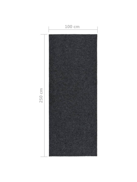 Paklāja celiņš, netīrumus aizturošs, 100x250 cm, pelēks