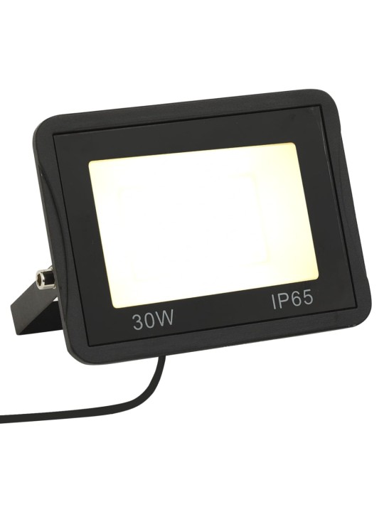 Led prožektors, 30 w, silti balta gaisma