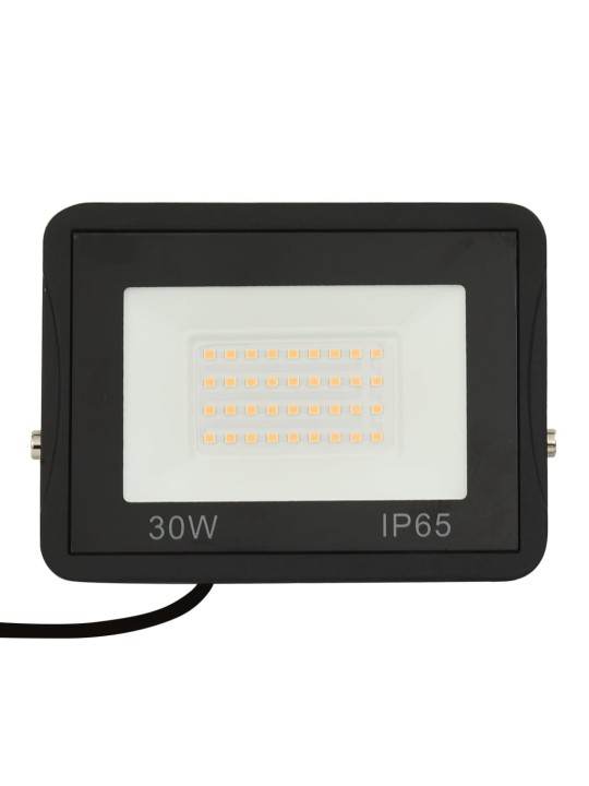Led prožektors, 30 w, silti balta gaisma