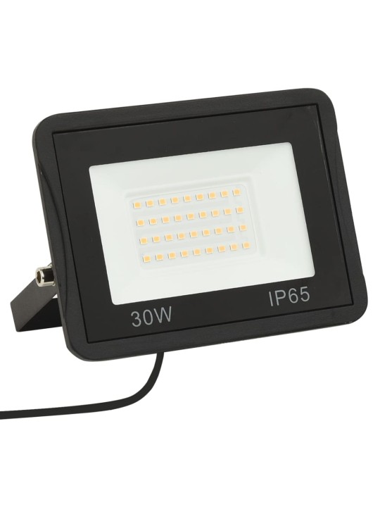 Led prožektors, 30 w, silti balta gaisma