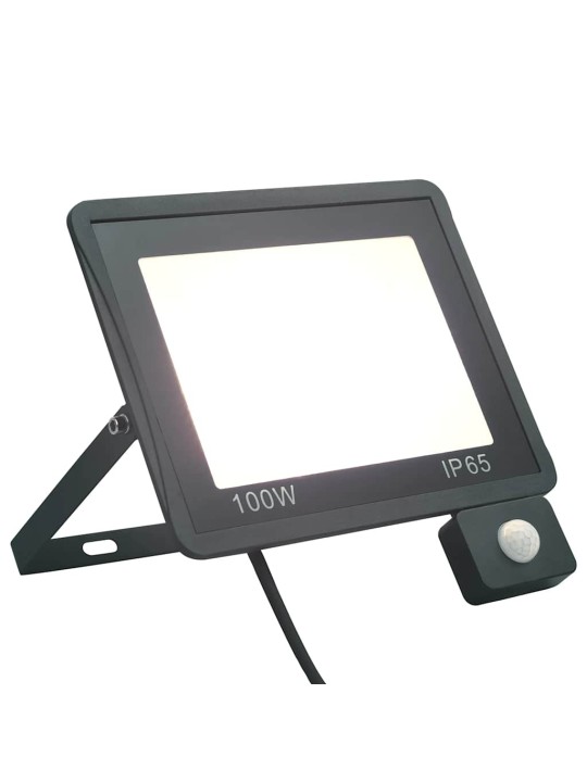 Led prožektors ar sensoru, 100 w, vēsi balta gaisma