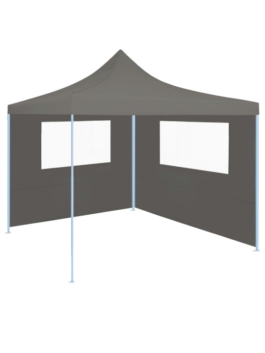 Dārza nojumes siena ar logiem, 4x2 m, antracītpelēka