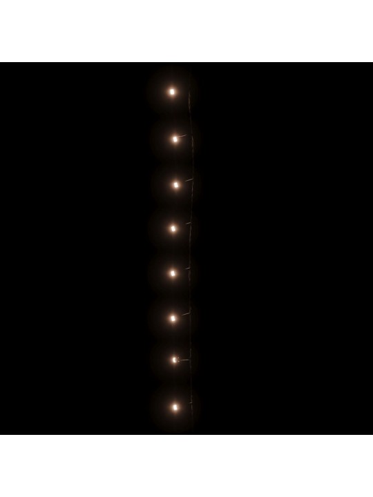 Led lampiņu virtene ar 300 led, silti balta, 30 m, pvc