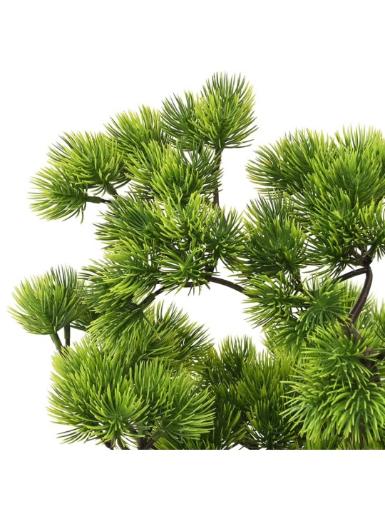 Priedes bonzai ar podiņu, 60 cm, zaļš