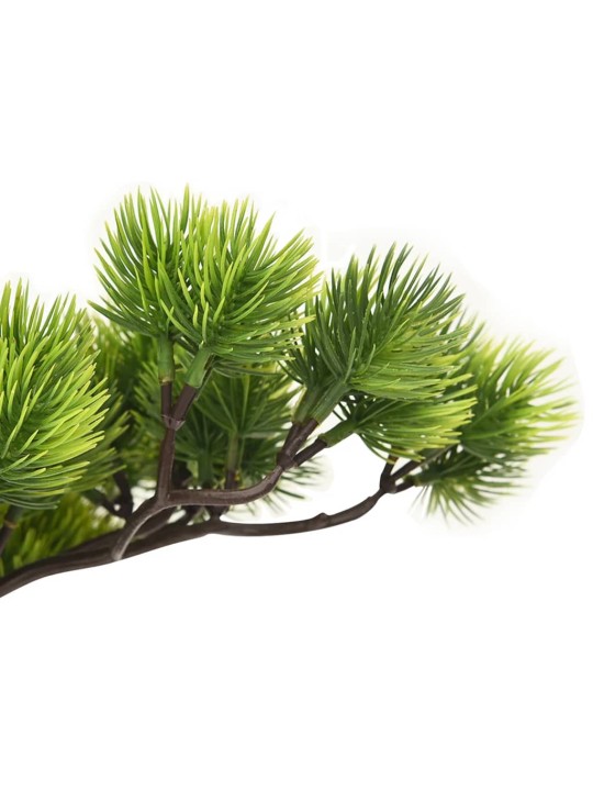 Priedes bonzai ar podiņu, 60 cm, zaļš