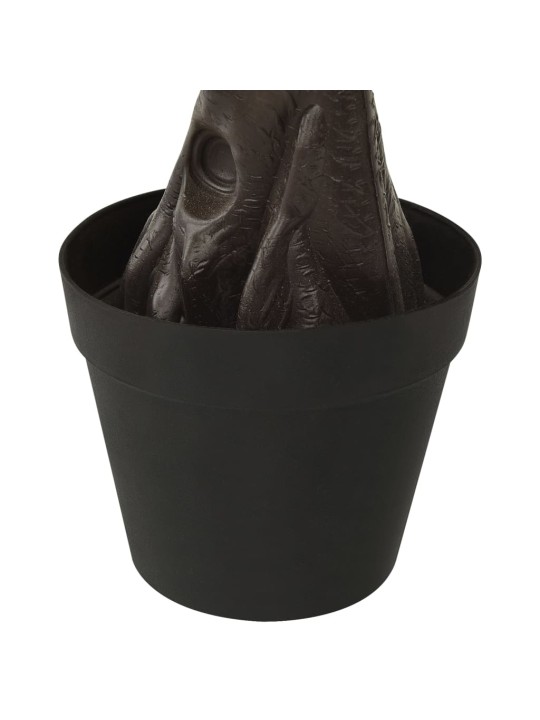 Priedes bonzai ar podiņu, 60 cm, zaļš
