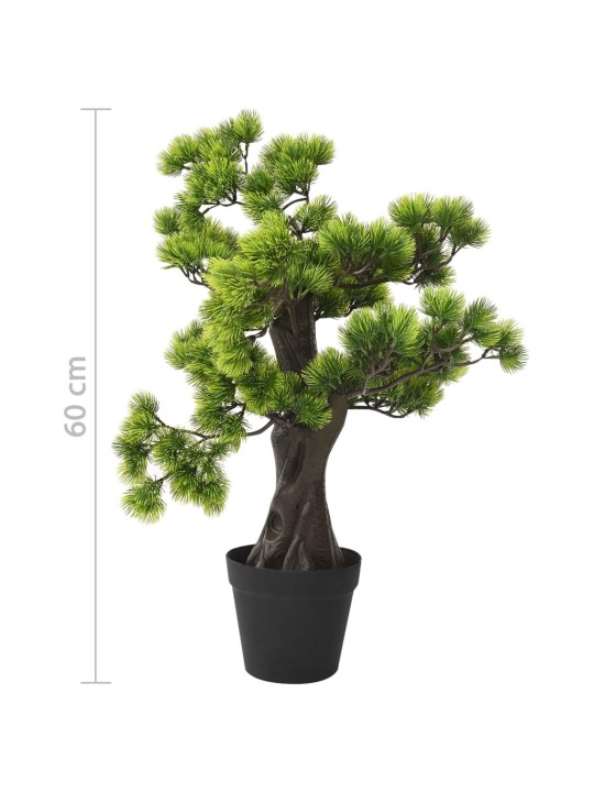 Priedes bonzai ar podiņu, 60 cm, zaļš