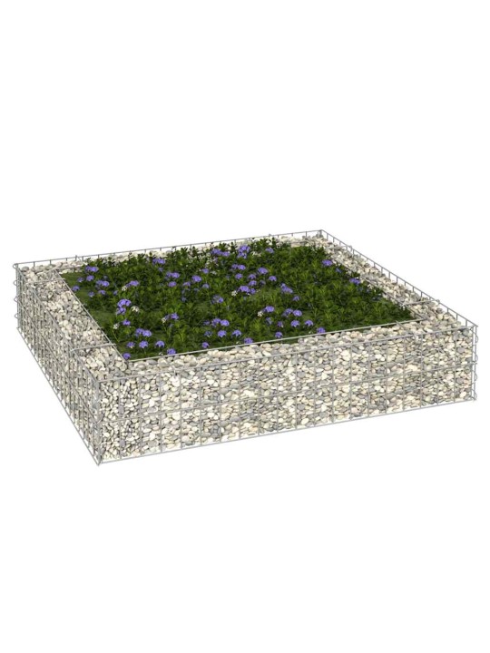 Gabions, augstā puķu kaste, cinkots tērauds, 100x100x20 cm
