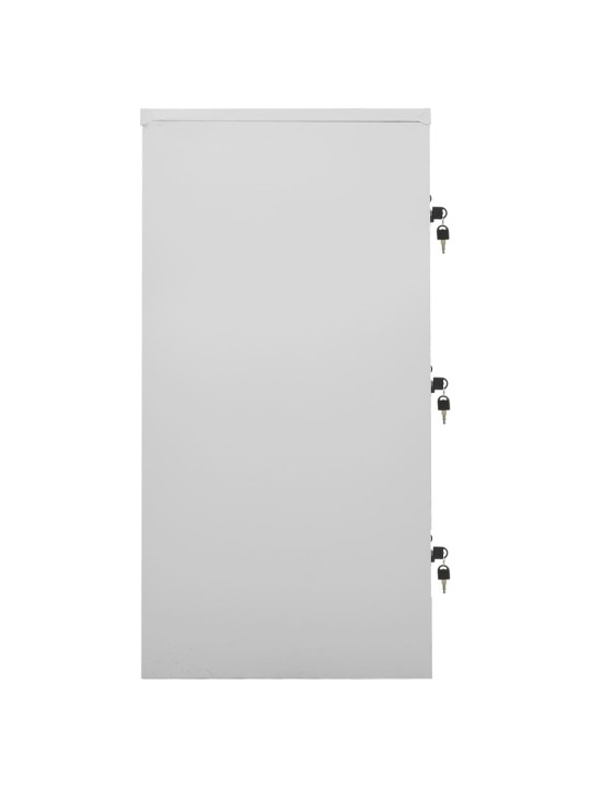 Ģērbtuves skapji, 2 gab., 90x45x92,5 cm, tērauds, pelēki, zaļi