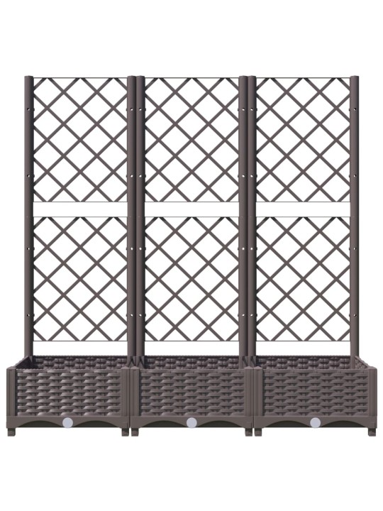 Dārza puķu kaste ar špaleru, brūna, 120x40x121,5 cm, pp