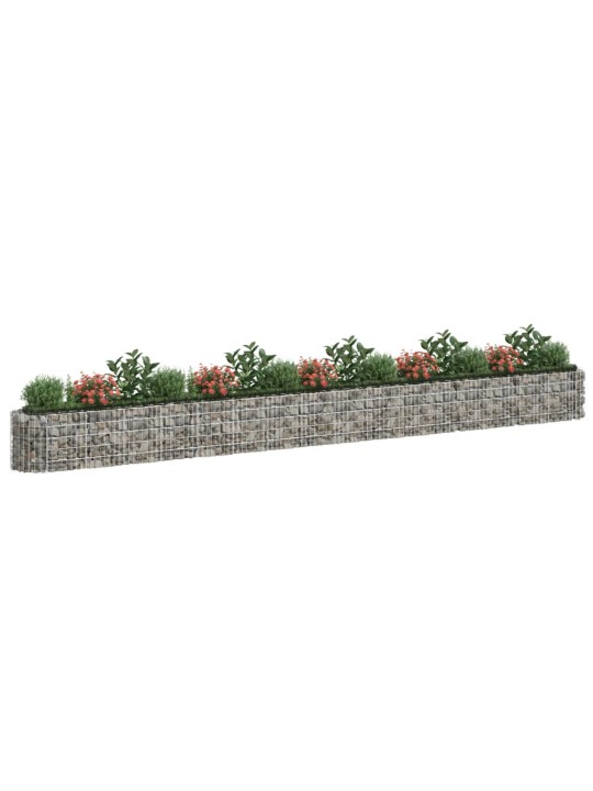 Gabions, augstā puķu kaste, cinkota dzelzs, 610x50x50 cm