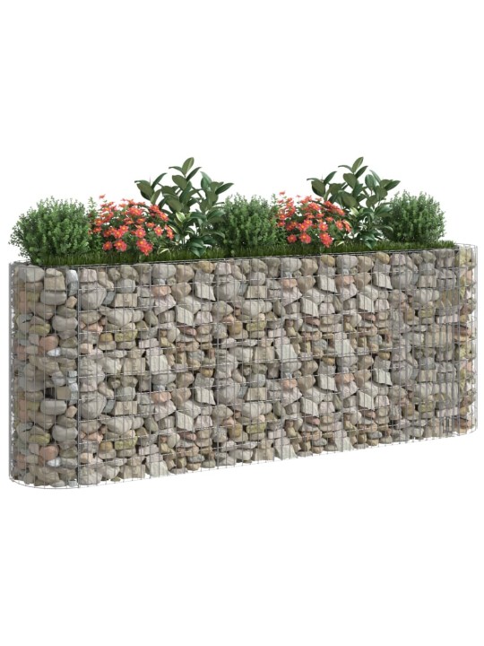 Gabions, augstā puķu kaste, cinkota dzelzs, 260x50x100 cm