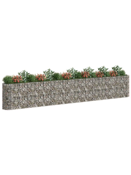 Gabions, augstā puķu kaste, cinkota dzelzs, 610x50x100 cm
