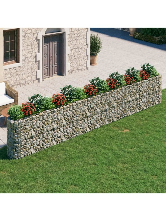 Gabions, augstā puķu kaste, cinkota dzelzs, 610x50x100 cm