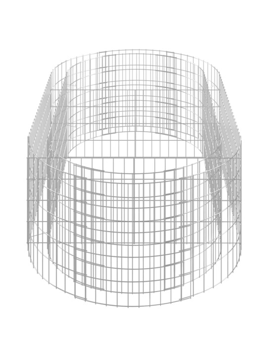 Gabions, augstā puķu kaste, cinkota dzelzs, 200x100x50 cm