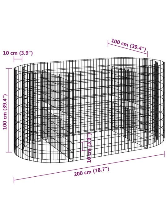 Gabions, augstā puķu kaste, cinkota dzelzs, 200x100x100 cm