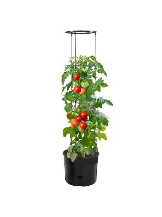 Pods tomātu audzēšanai, ø39x150 cm, pelēks, polipropilēns