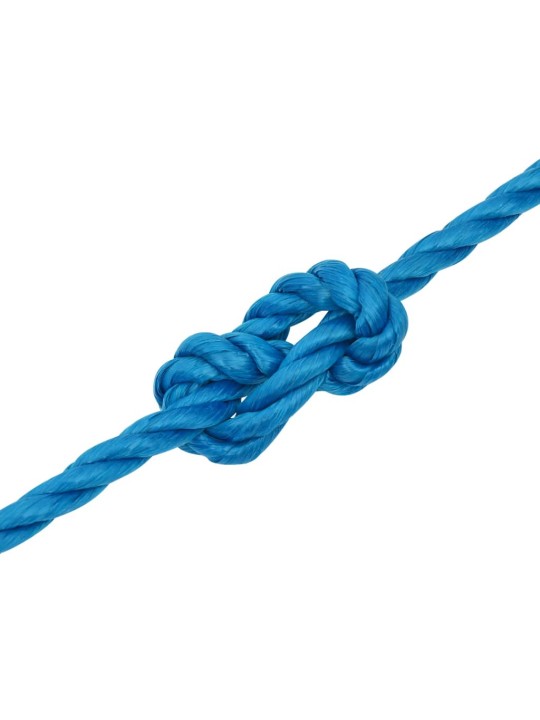 Darba virve, zila, 10 mm, 25 m, polipropilēns
